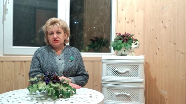 РОЗЫ - ХОРОШИЕ И ПЛОХИЕ СОСЕДИ. С ЧЕМ МОЖНО И НЕЛЬЗЯ САЖАТЬ РОЗЫ смотреть онлайн