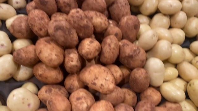 СКОЛЬКО?? // ЦЕНЫ НА ПРОДУКТЫ В АВСТРАЛИИ смотреть онлайн