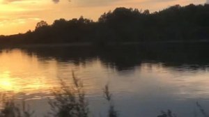 Разделка Киты и засолка красной икры на Дальнем Востоке. Цапли на прогулке