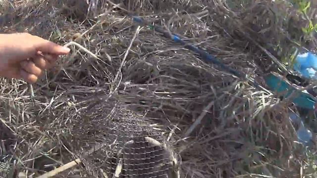 Карась на Самодельный Боковой Кивок смотреть онлайн