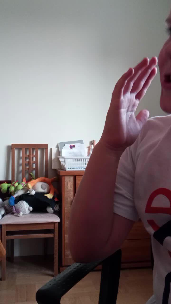 играем в Starcraft с другом