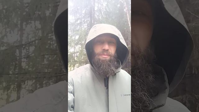 Утро понедельника, оно такое🌲👍 смотреть онлайн