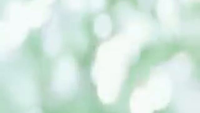 BVLGARI — OMNIA CRYSTALLINE