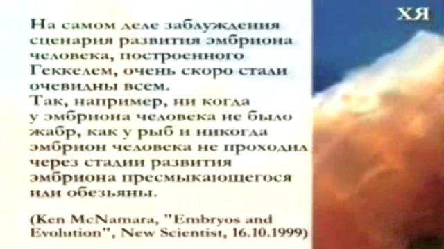 ВЫМЫШЛЕННЫЕ РИСУНКИ ГЕККЕЛЯ смотреть онлайн