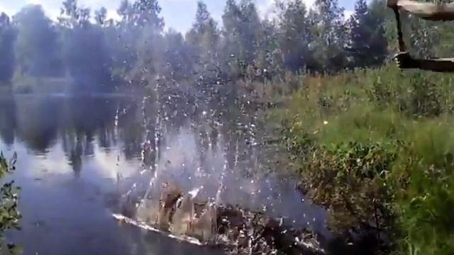 Рыбалка-когда рыба не клюет! смотреть онлайн