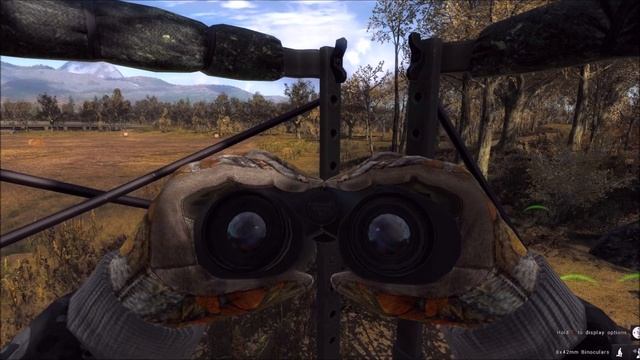 How To HUNT WILD BOAR TheHunter Classic!! смотреть онлайн