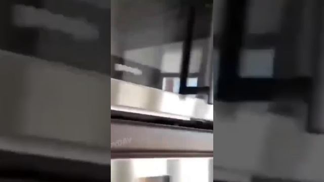 Приколы смотреть онлайн