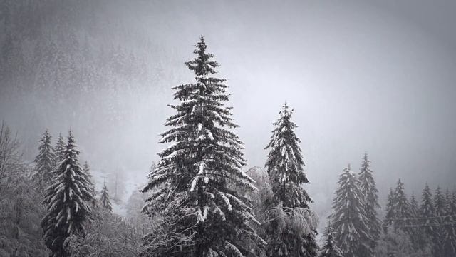 ?29 января–Петр-полукорм. Что нельзя делать?? Приметы и поверья смотреть онлайн