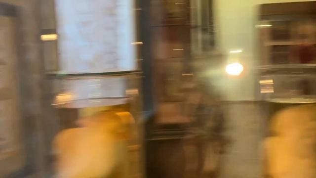Кунсткамера в Санкт-Петербурге.Коллекция Петра Великого .Слабонервным не смотреть! смотреть онлайн