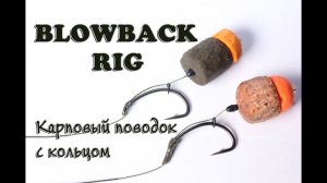 КАРПОВЫЙ МОНТАЖ С КОЛЬЦОМ. BLOWBACK RIG