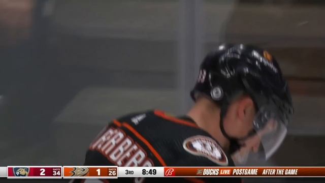 The NHL just f***ed the Ducks смотреть онлайн