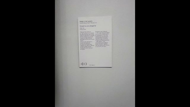 MUSEE DE L'ORANGERIE - PARIS - FRANCE - WINTER - MARITZA & JUAN DELUQUE / JANUARY 2023 смотреть онлайн