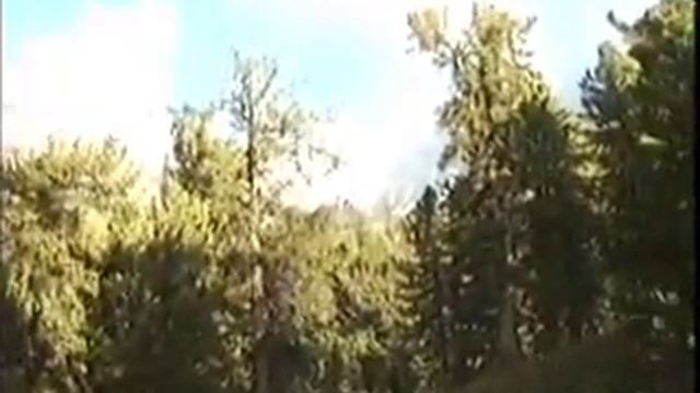 Кедровые стоянки смотреть онлайн