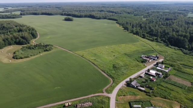 Село Шабаново, Омутинский район, Тюменская область с высоты смотреть онлайн