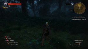 Ведьмак 3. Таинственные следы. Если нет рецепта.