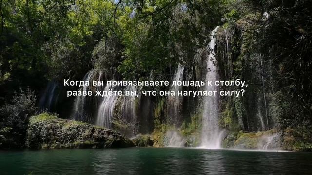 10 Лучших Индейских Пословиц, Которые Перевернут Ваш Мир. Мудрые индейские цитаты со смыслом смотреть онлайн