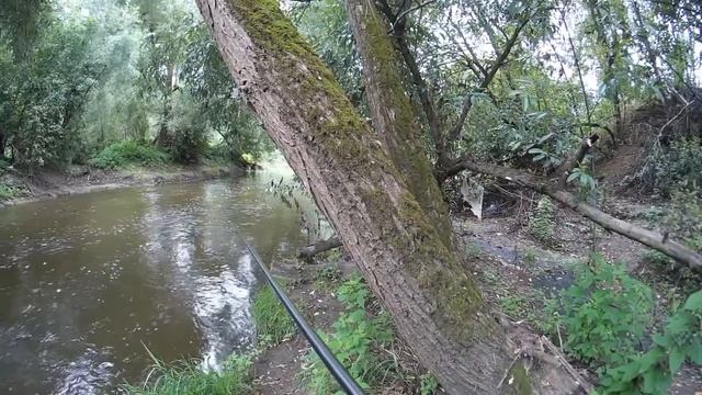 13 августа 2020 года Коротенький выезд с боковым кивком на речушку Десну! смотреть онлайн