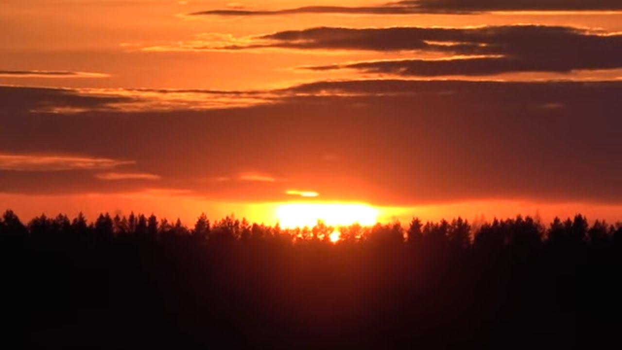 Охота на гуся вечером на болотах #25.1 / Выстрел в темноту смотреть онлайн