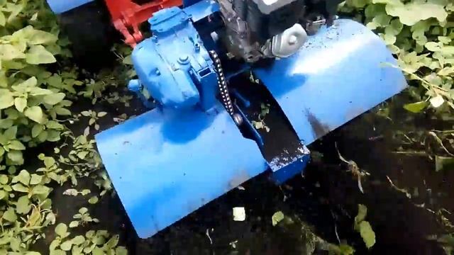 Самодельный минитрактор Алтай. Прополка междурядий тыквы. смотреть онлайн