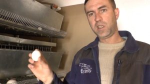 Вентиляция курятника. Терморегулятор W1209 Как сделать  Вытяжку в курятнике своими руками на  W1209