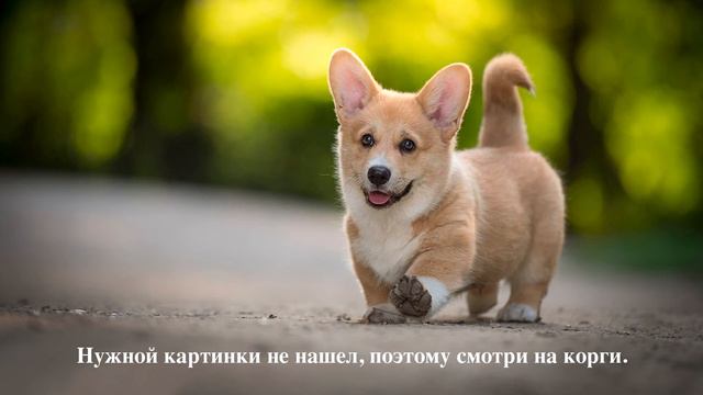 REST API здорового человека смотреть онлайн