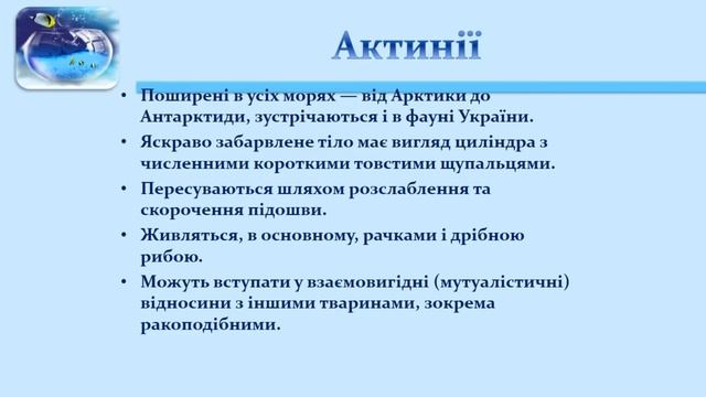 Заняття Кишковопорожнинні Частина ІІ, Медузи смотреть онлайн