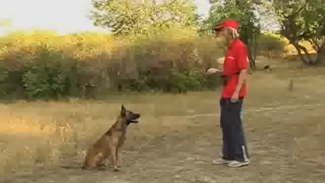 Обучающее видео. "Ко мне" смотреть онлайн
