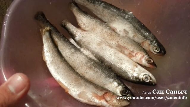 Дизайн Интерьера