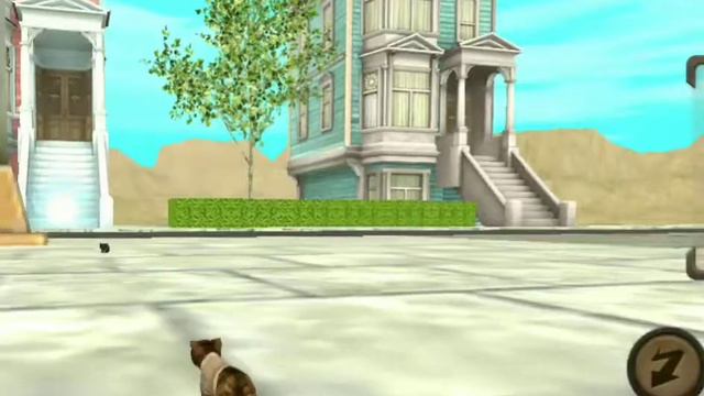 мини фильм кэт сим 