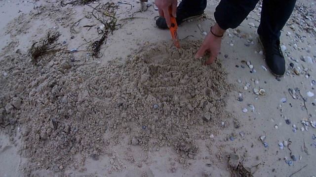 Пляжный поиск после шторма ?️ Чёрное море. смотреть онлайн