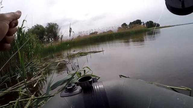 Ловля Сазана и Крупного КАРАСЯ в камыше . смотреть онлайн