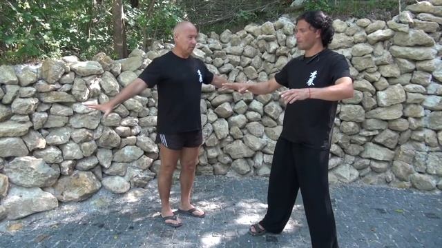 ТЕСТИРОВАНИЕ СТОЛБОВ (ФУАНЬ ЧЖУАН) смотреть онлайн