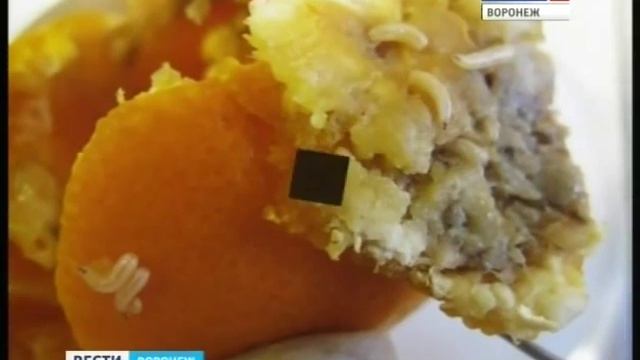 Апельсины из Турции ввезены с мухой смотреть онлайн