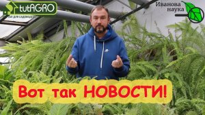 ОСТОРОЖНО! ШОК! БОРОФОСКА - ЭТО ШЛАК, УСТАРЕВШАЯ РАССАДА, с чем НЕЛЬЗЯ сажать ОГУРЦЫ и всякое такое!