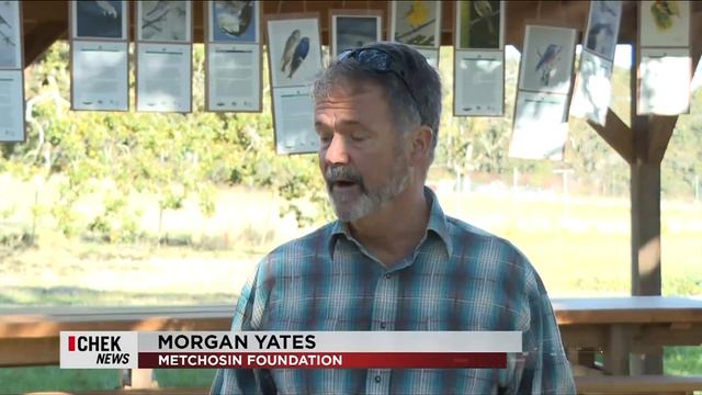 Vital People: The Metchosin Foundation смотреть онлайн