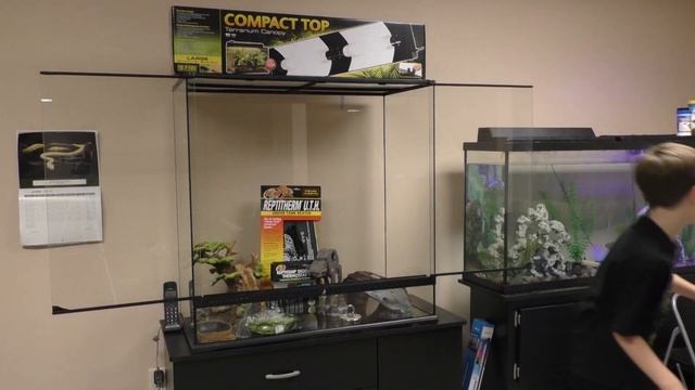 Carpet Python Set Up and Release смотреть онлайн