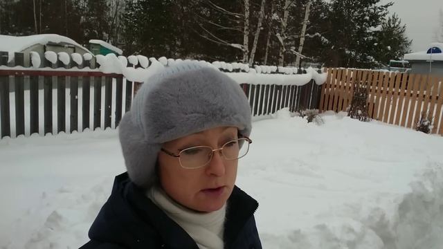 Видео привет с 6 соток в середине января 2024 года. смотреть онлайн