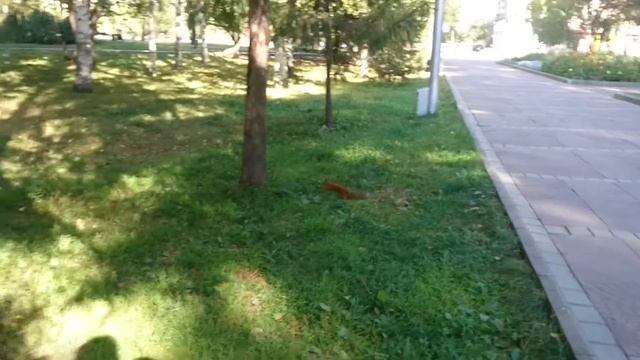 Утро в Новосибирске смотреть онлайн