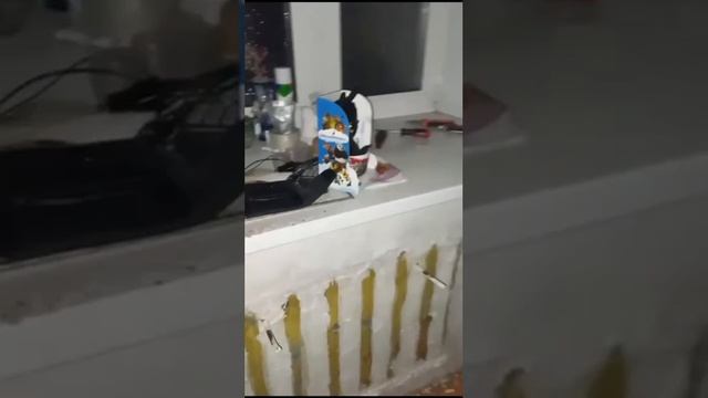 В Оренбурге заливает водой объект культурного наследия - гагаринскую летку смотреть онлайн