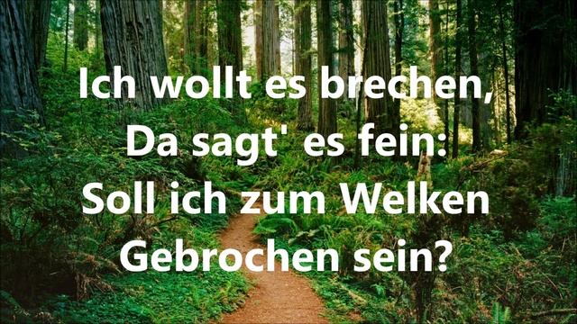 Gefunden von Goethe смотреть онлайн