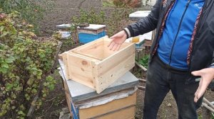 Альпийский улей почему он мне не нужен