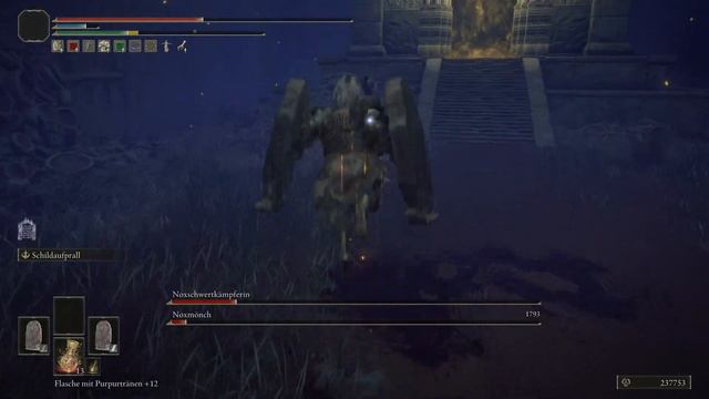 ELDEN RING - Nox Duo - Shield Only - NG+ смотреть онлайн