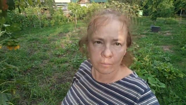 Посеяла опять кабачки🥬 Трудно ли содержать бассейн🏊_♀️👀 Как растут огурчики 🥒Дом на Кубани🏡 смотреть онлайн