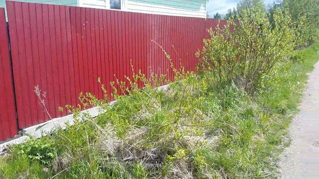 Выдавливание ленточного фундамента забор из профнастила под ключ смотреть онлайн