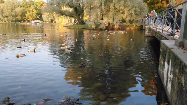 Гатчина. Парк смотреть онлайн