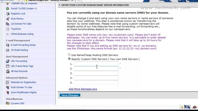 How to transfer New Domain to Host Domain Name Servers смотреть онлайн