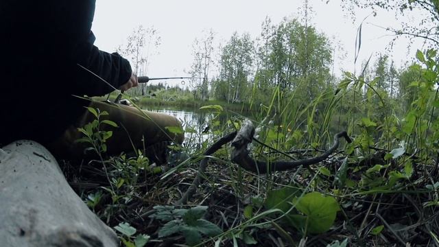 ПОХОДЫ: рыбалка на Южной Яде. Ночёвка в палатке. Талажские избы. смотреть онлайн