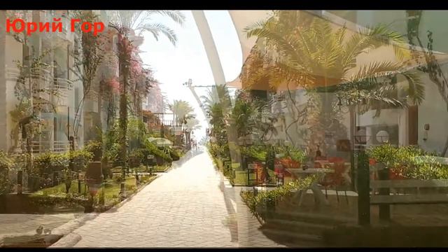 Отель Minamark Beach Resort 4*. Egypt! Hurghada!