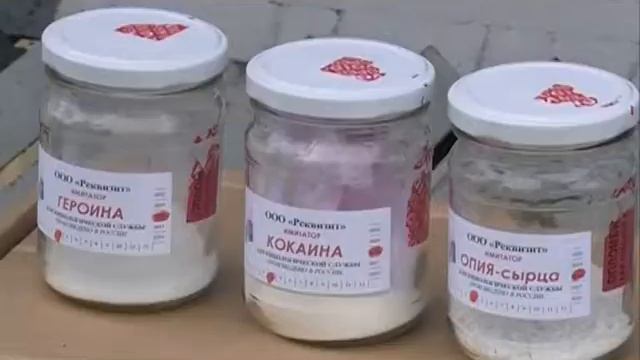 День кинолога смотреть онлайн