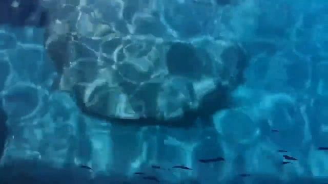 Общаемся, знакомимся, отдыхаем ☺️